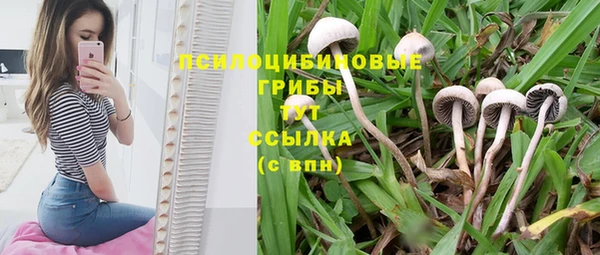 гашишное масло Богородицк