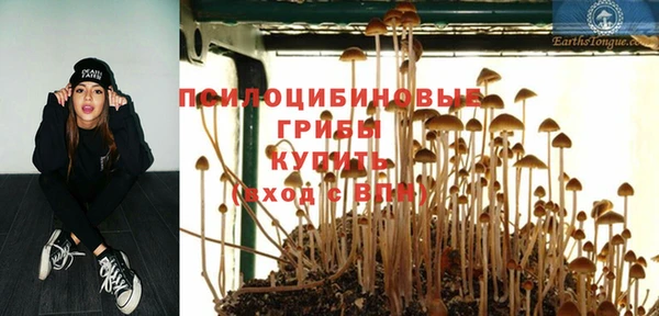 марки nbome Богданович