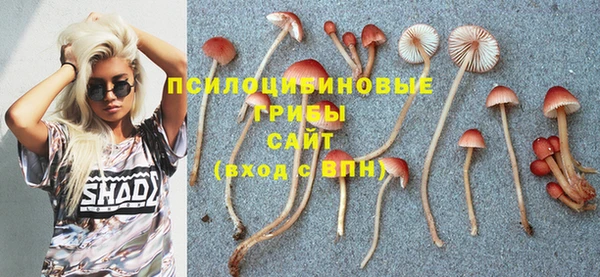 гашишное масло Богородицк