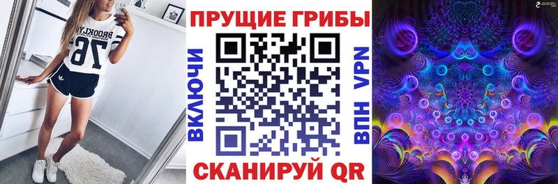 Псилоцибиновые грибы мицелий  Бор 